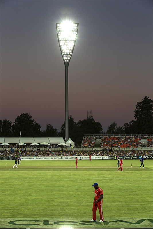 manuka lights4.jpg